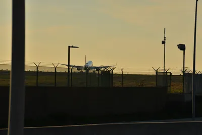 DSC_5698 (Large).JPG